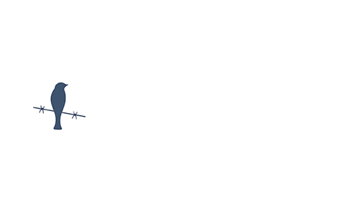 ProDaft